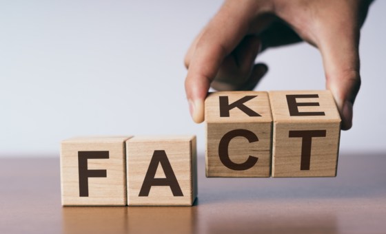 fact fake